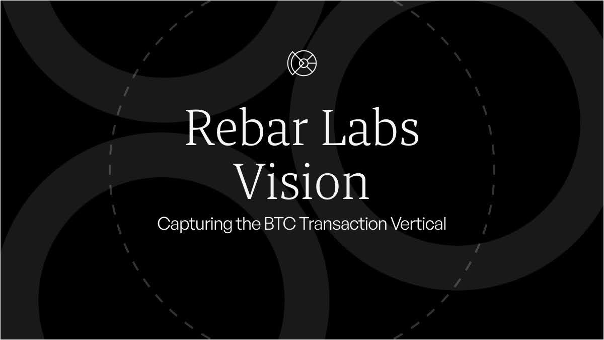 rebar-labs-vision